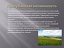 Прикубанская низменность