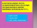 1.Дуб и клён 2. Липа и вяз 3. Дуб, клён, липа и вяз