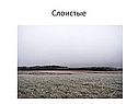 Слоистые