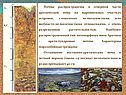 Почвы распространены в северной части арктической зоны на выровненных