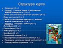 Структура курса