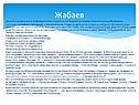 Жабаев