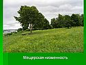 Мещерская низменность