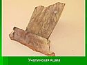 Учалинская яшма
