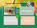 Представитель Африки