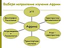 Выбери направление изучения Африки
