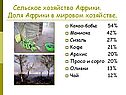 Сельское хозяйство Африки