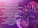 Трудно описать словами все очарование этого итальянского города