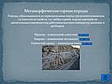 Метаморфические горные породы
