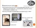 Поваренная соль