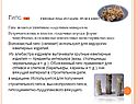 Гипс
