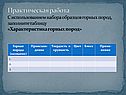Практическая работа