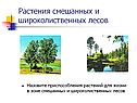 Растения смешанных и широколиственных лесов