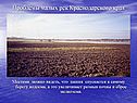 Вода – основа жизни