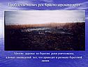 Деревья по берегам реки