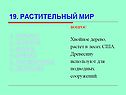Растительный мир