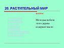 Молодые побеги