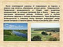 Образование речных долин