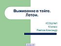 Выживание в тайге