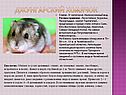 Животные Южного Урала