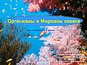 Живые организмы в Мировом океане