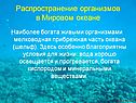 Распространение организмов в Мировом океане