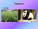Евразия