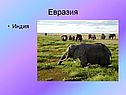 Евразия