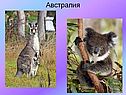 Австралия