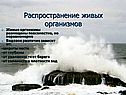 Распространение живых организмов