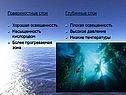 Поверхностные слои