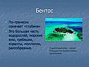 Бентос