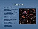Величина