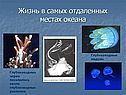 Жизнь в самых отдаленных местах океана
