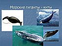 Киты