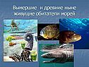 Жизнь в Мировом океане