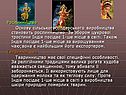 Рослинництво Основу сільськогосподарського виробництва становить