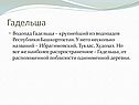 Гадельша