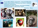 Но не надо сидеть и грустеть, наша природа пока жива и она смеётся