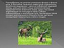 Флора и фауна края
