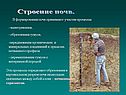 Строение почв