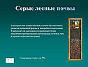 Серые лесные почвы