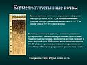 Бурые полупустынные почвы