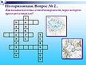 Как называется точка земной поверхности, через которую проходит земная ось