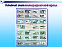 Условные знаки топографической карты