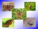 8 класс симметрия