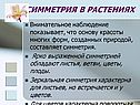 Симметрия в растениях