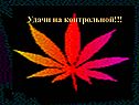 Удачи на контрольной