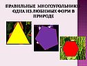 Правильные многоугольники-одна из любимых форм в природе