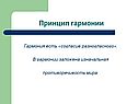 Принцип гармонии